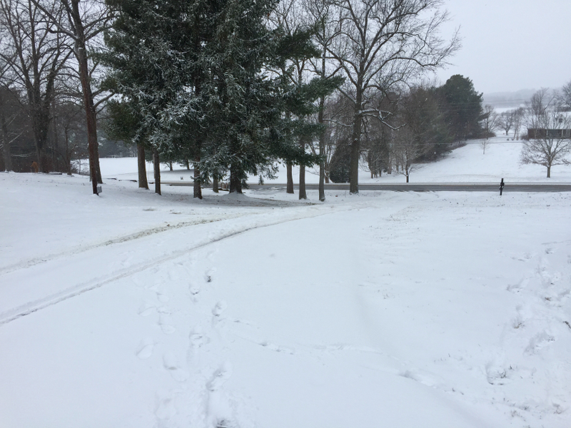 Illustration for article titled In-Laws' Steep Paved Driveway + Fresh Snow